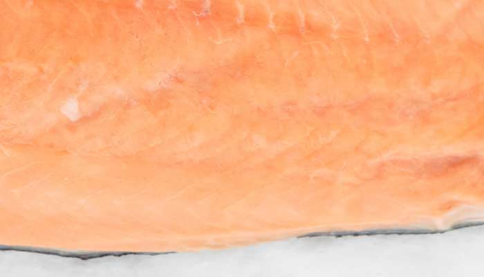 Salmón congelado