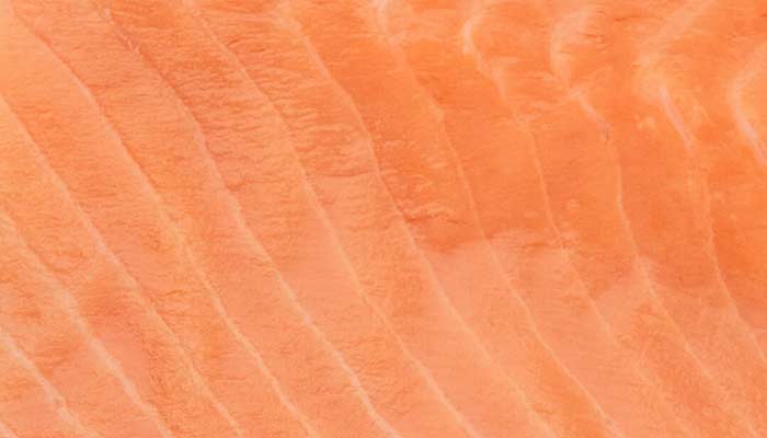 Salmón descongelado